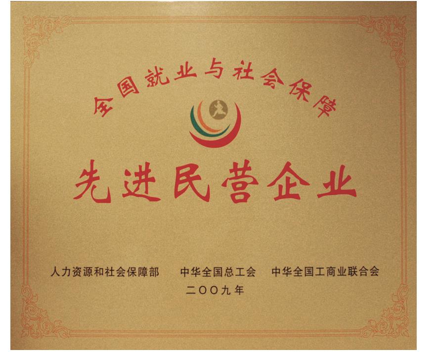 全国就业与社会保险先进民营企业